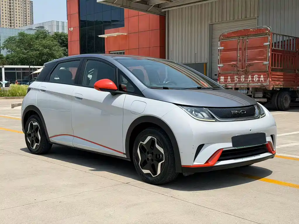 BYD Dolphin 2021 405km Freedom