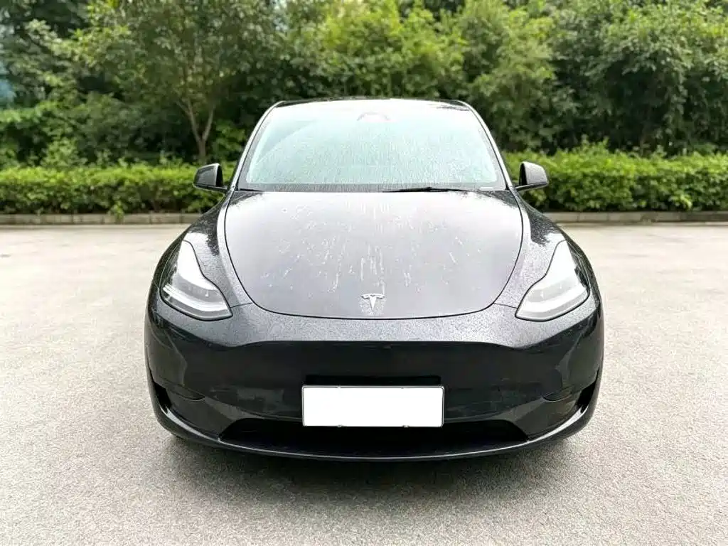 Tesla Model Y — миниатюра 2