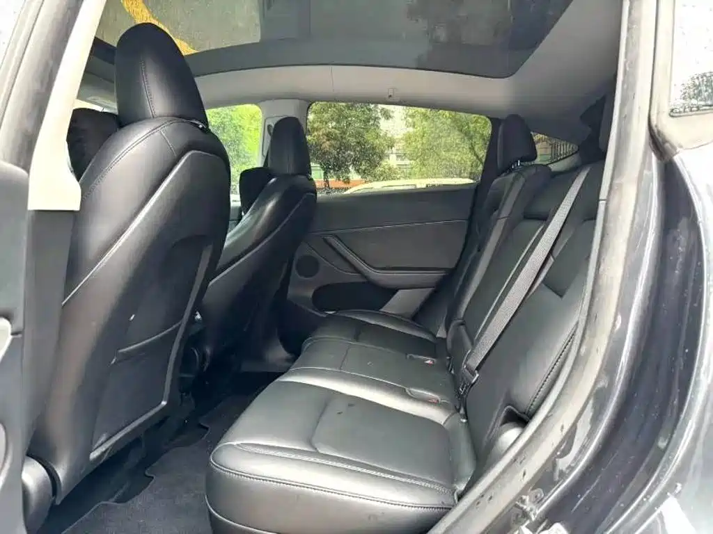 Tesla Model Y — миниатюра 6