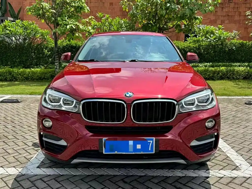 BMW X6 2018 xDrive35i Lead