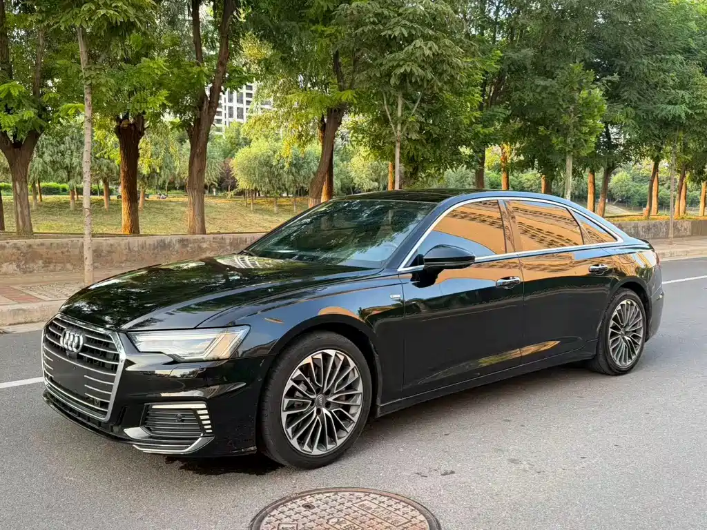 Audi A6L New Energy