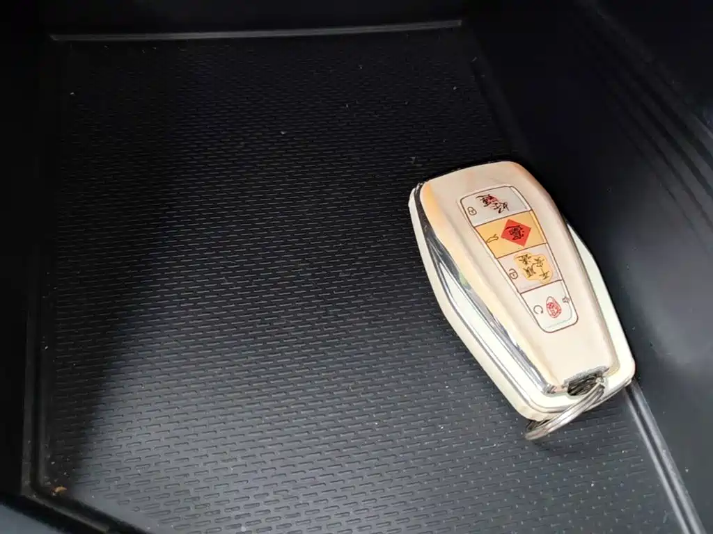 Geely Binrui 2024 COOL 1.5T DCT Champion