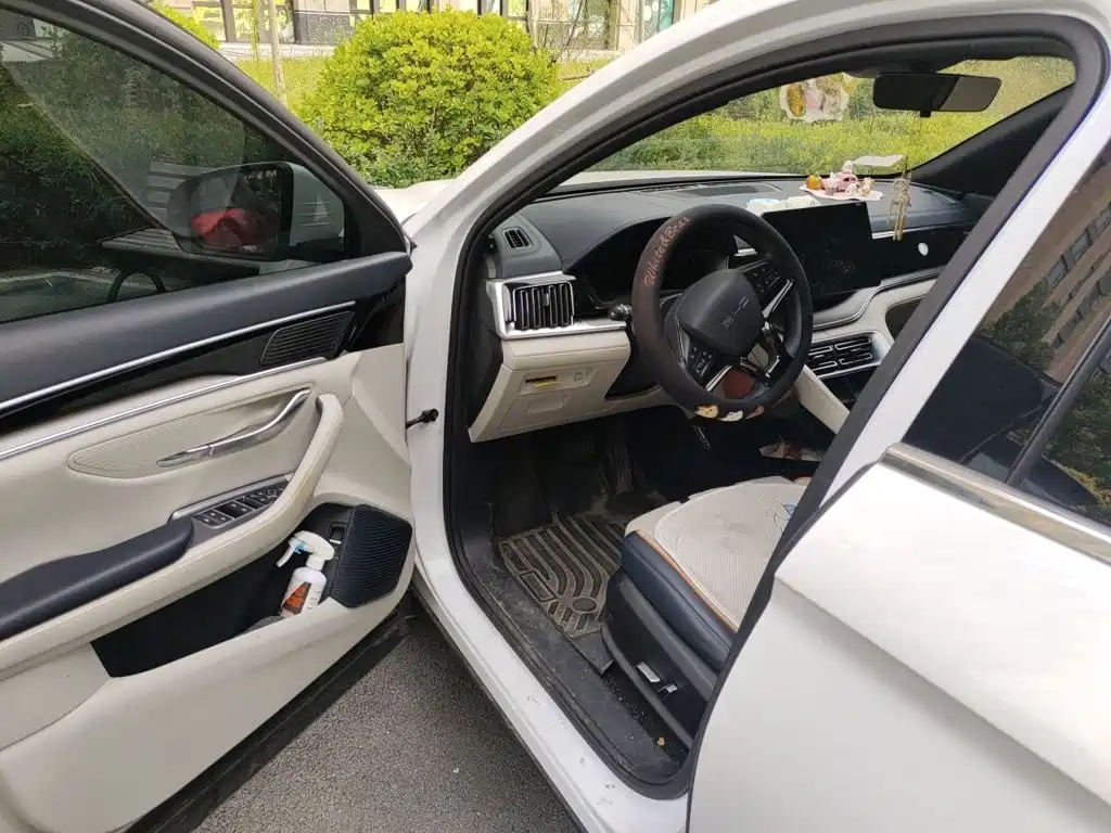 BYD PLUS New Energy — миниатюра 12