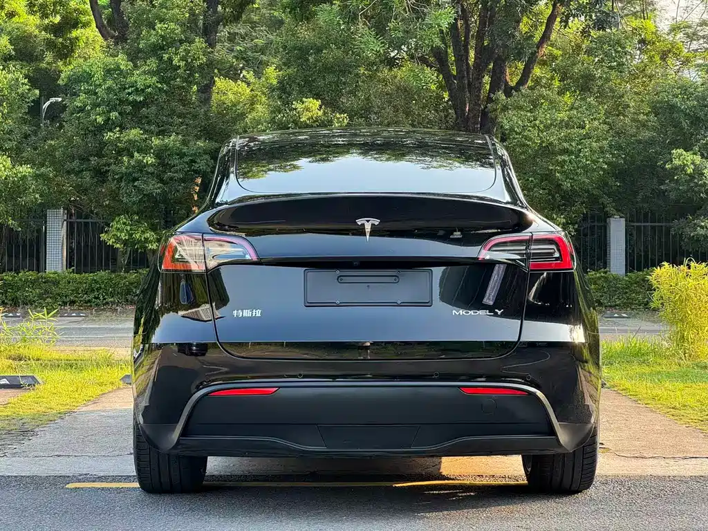 Tesla Model Y — миниатюра 4