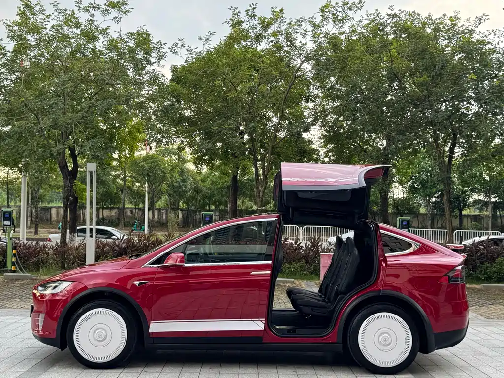 Tesla Model X — миниатюра 13