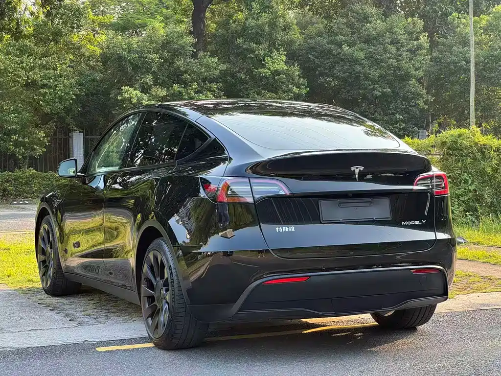 Tesla Model Y — миниатюра 11
