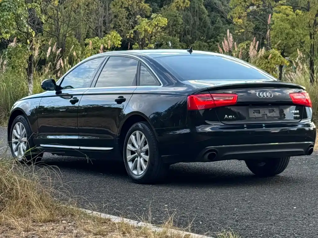 Audi A6L — миниатюра 16