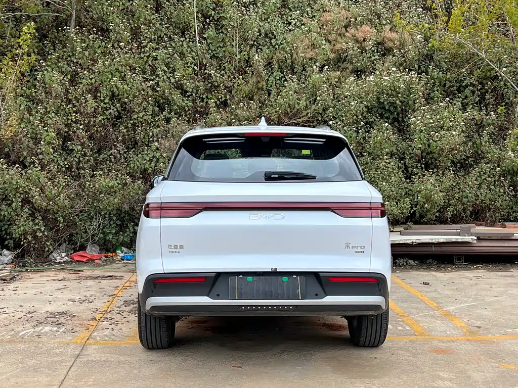 BYD SONGJIANG NEW ENERGY