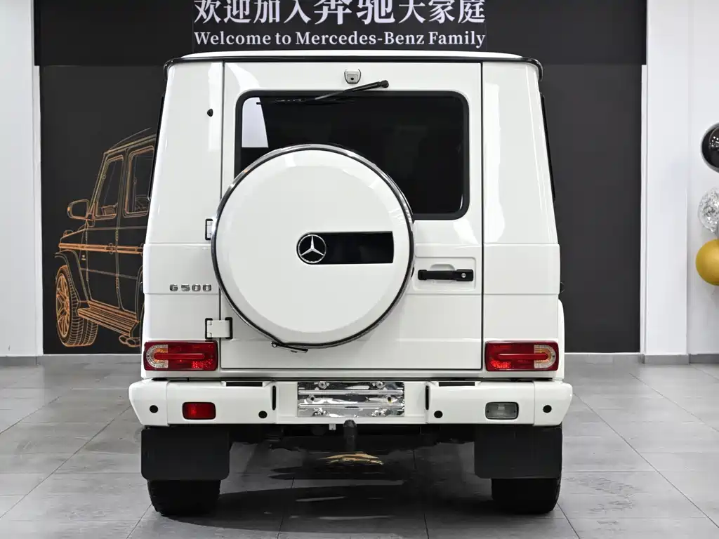 Mercedes-Benz G-Class G 2010 G 500