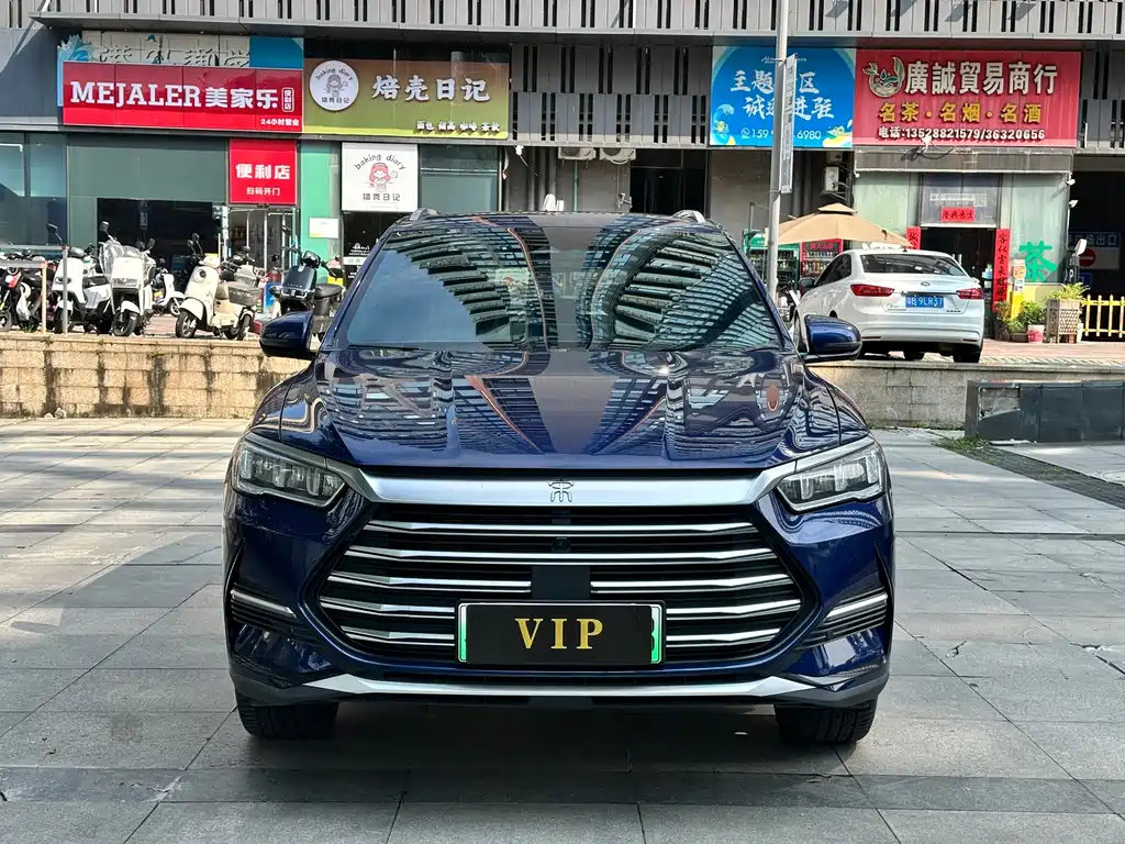 BYD Pro New Energy — миниатюра 2