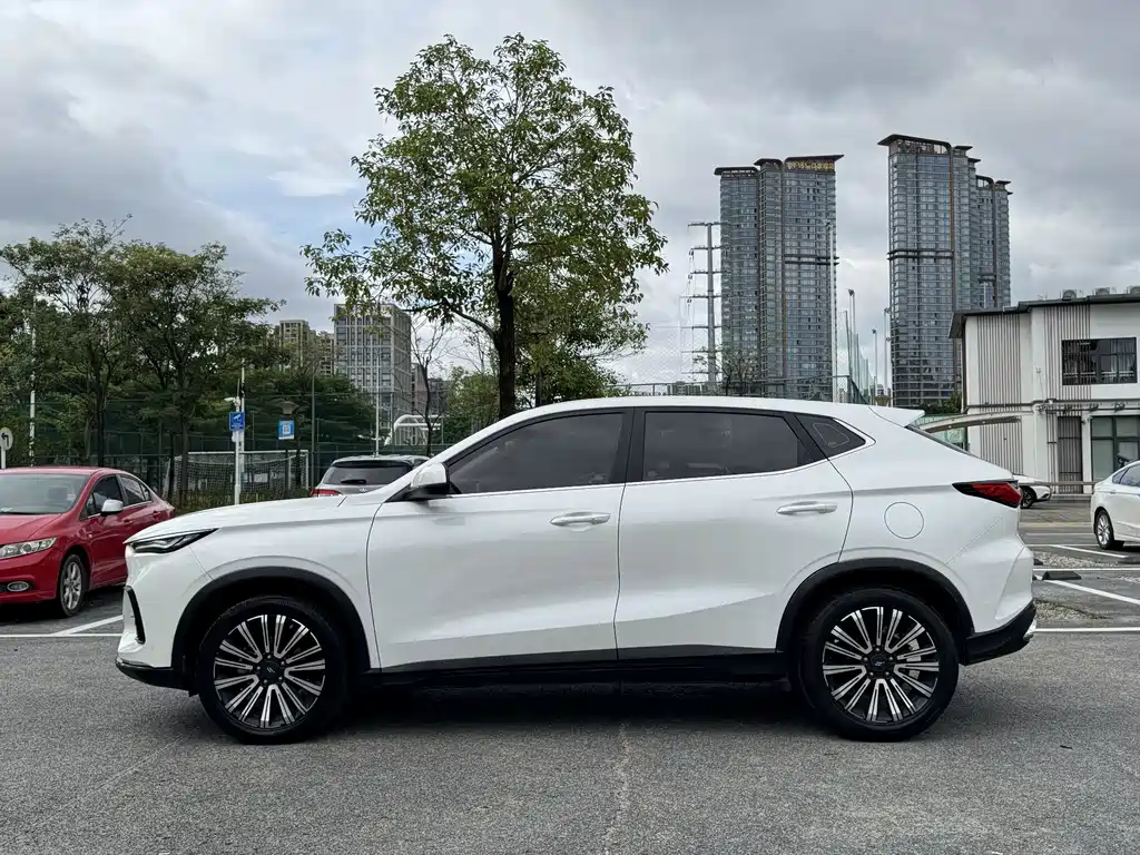 Oshan Oushang X5 — миниатюра 22
