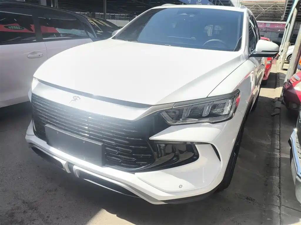 Byd Pro New Energy 2024