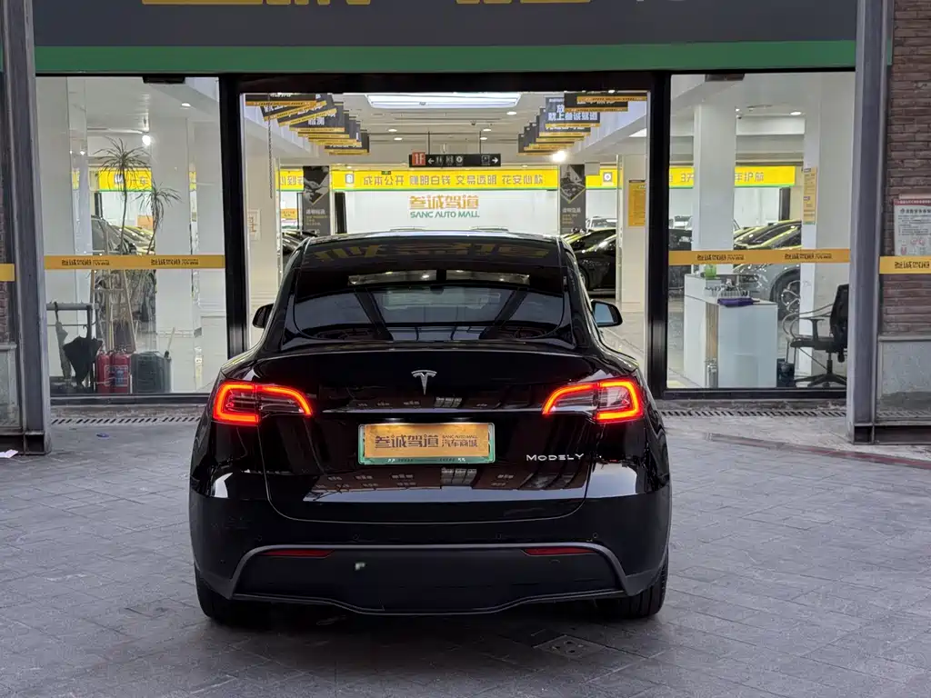 Tesla Model Y — миниатюра 5