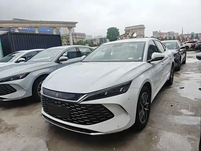 BYD QIN L 2025