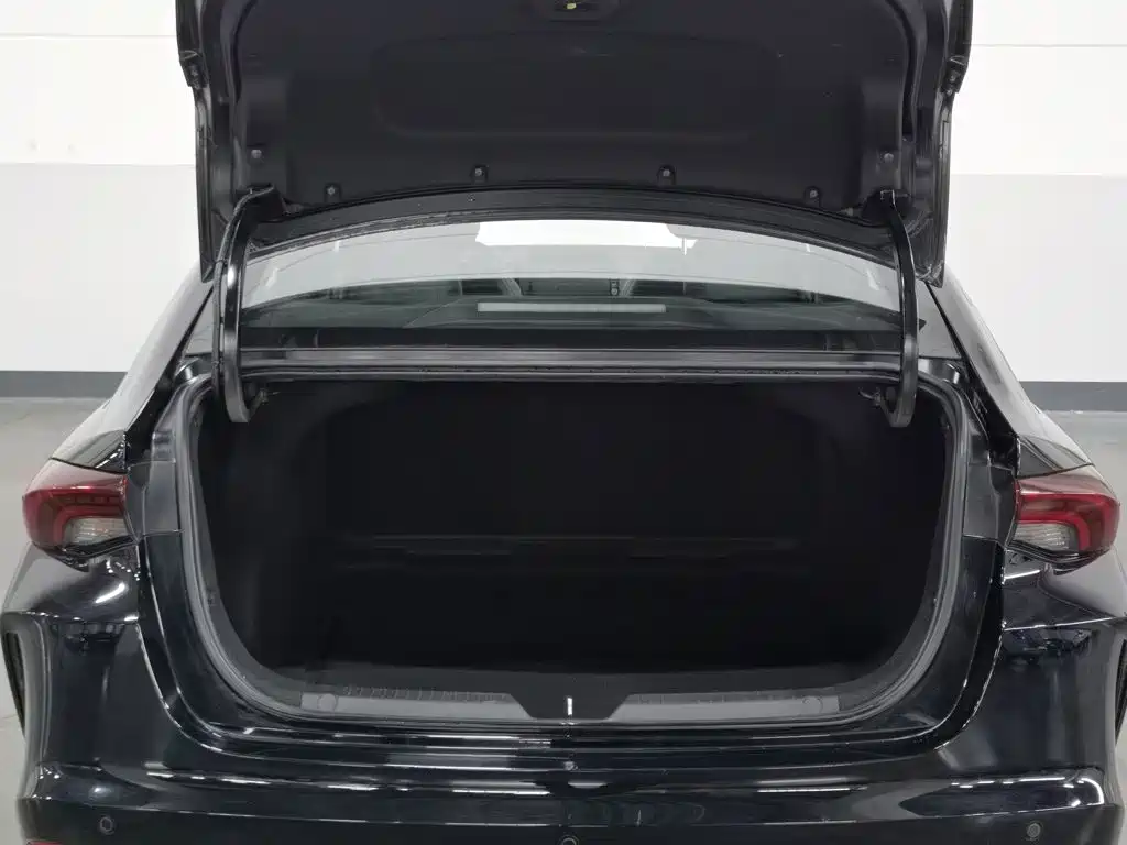 GAC Motor Shadow Leopard — миниатюра 16