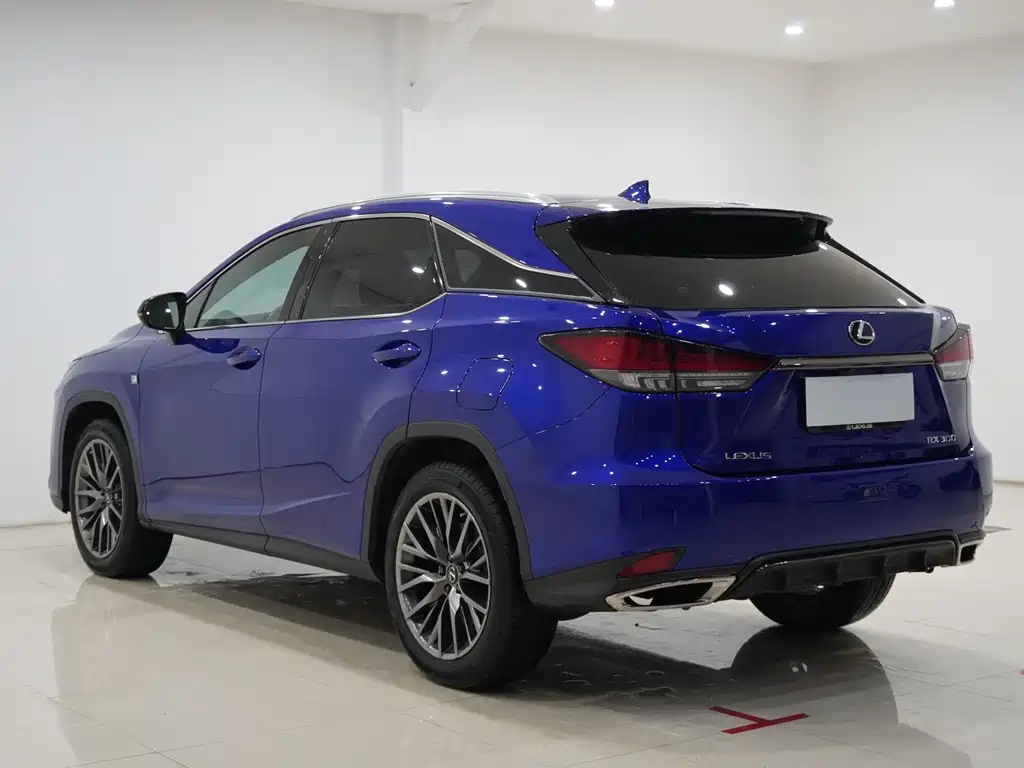 Lexus RX 2020 300 F SPORT