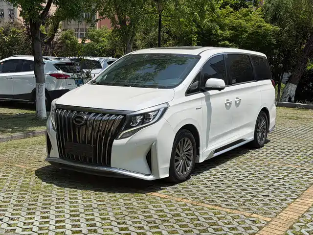 2021 GAC GN8