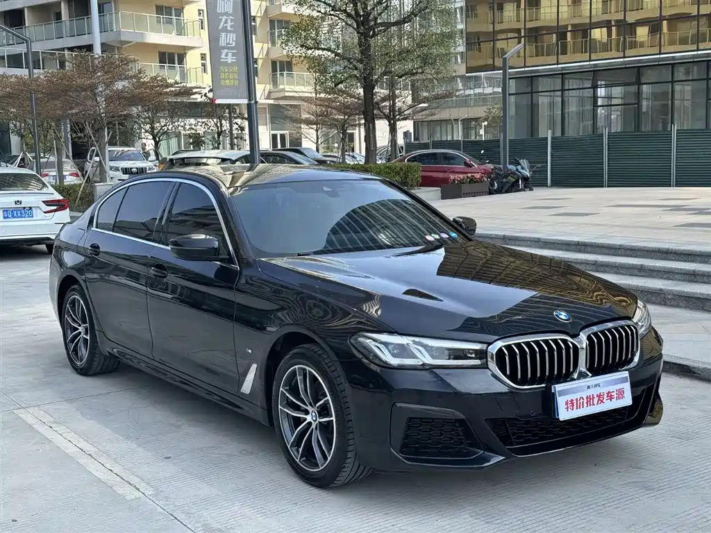 BMW 5 SERIES