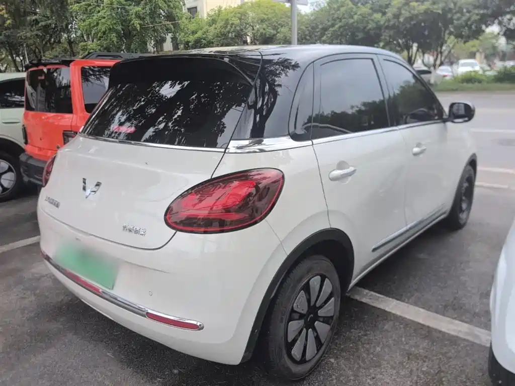 Wuling Binguo 2025 333km Enjoy