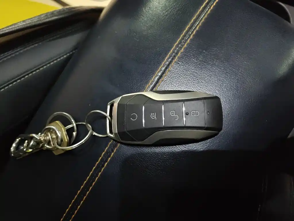 BYD PLUS New Energy — миниатюра 9