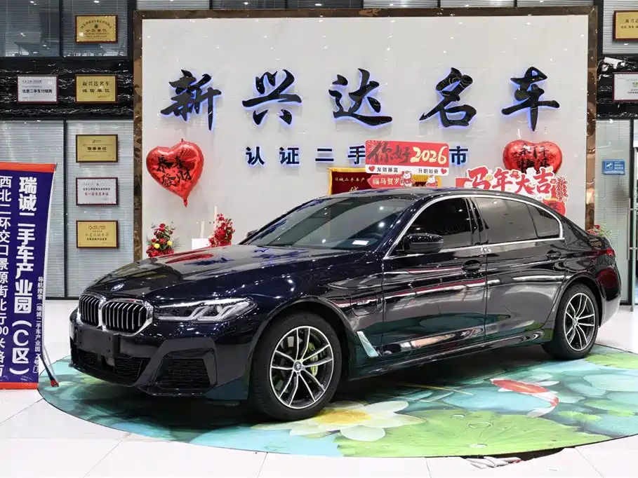 BMW 5 Series New Energy 2023