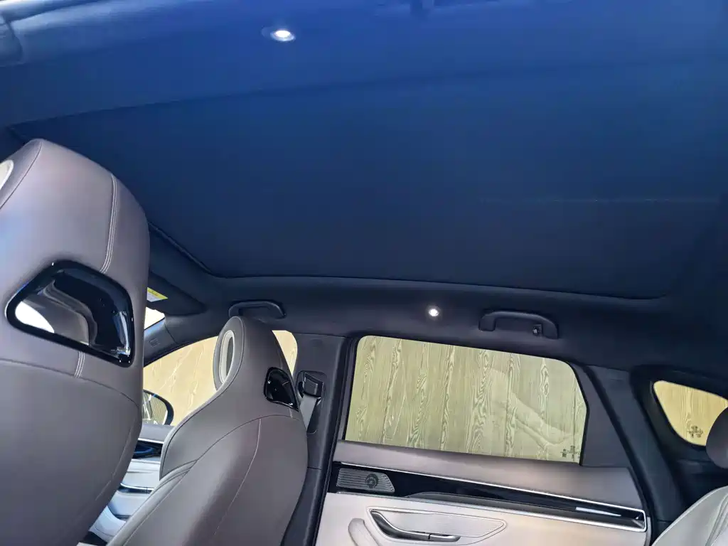 BYD PLUS New Energy — миниатюра 15