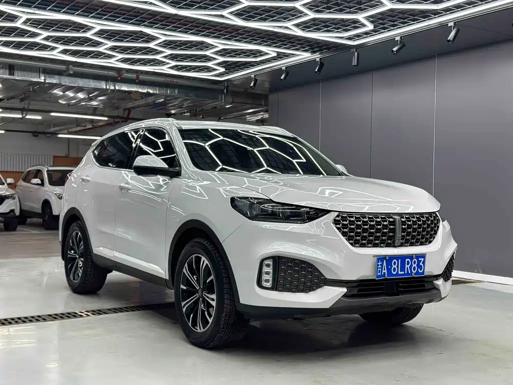 WEI PAI WEI BRAND VV6