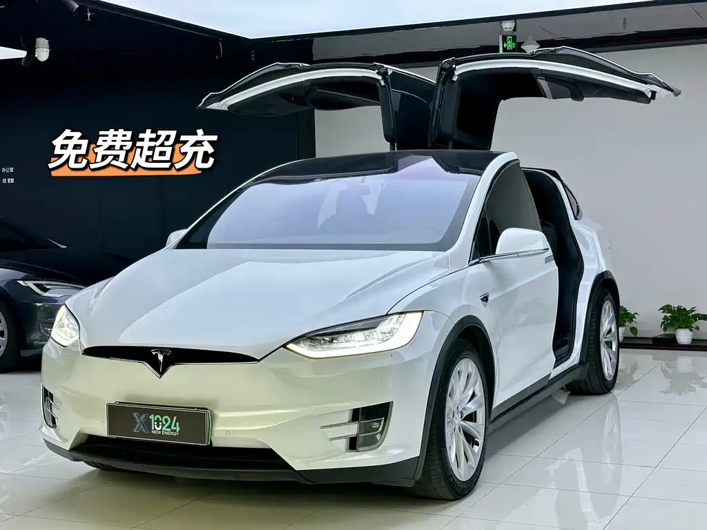 TESLA MODEL X