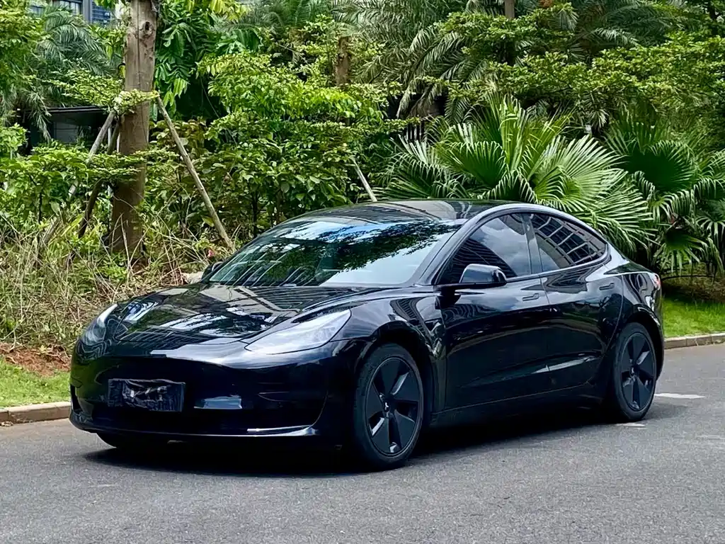 Tesla Model 3 2021