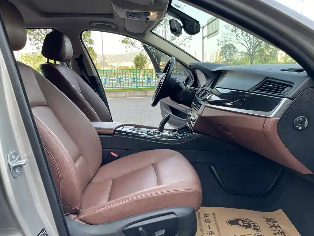 BMW 5 Series 520Li Elegant Type, фото 10