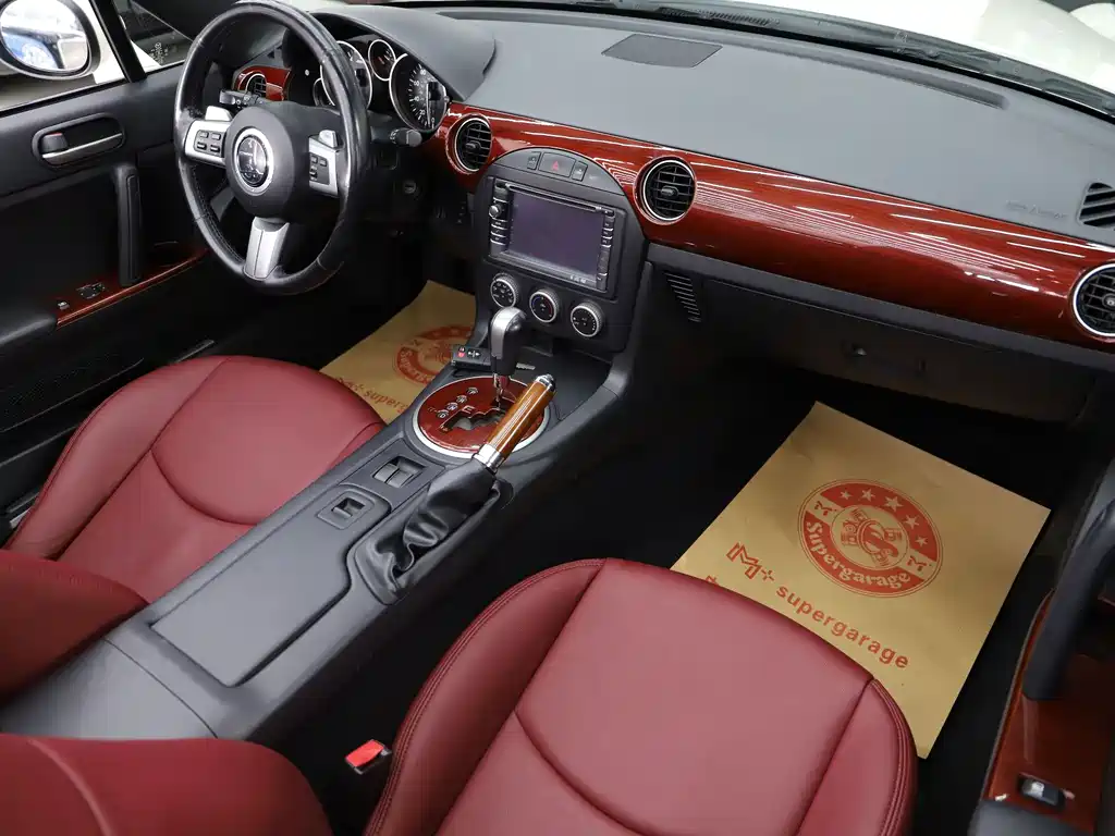 Mitsuoka Queen — миниатюра 15