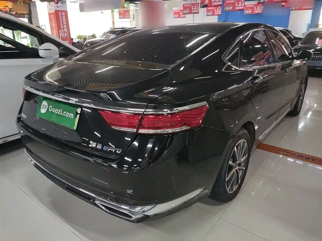 Geely Borui 2022 1.5T PHEV Luxury