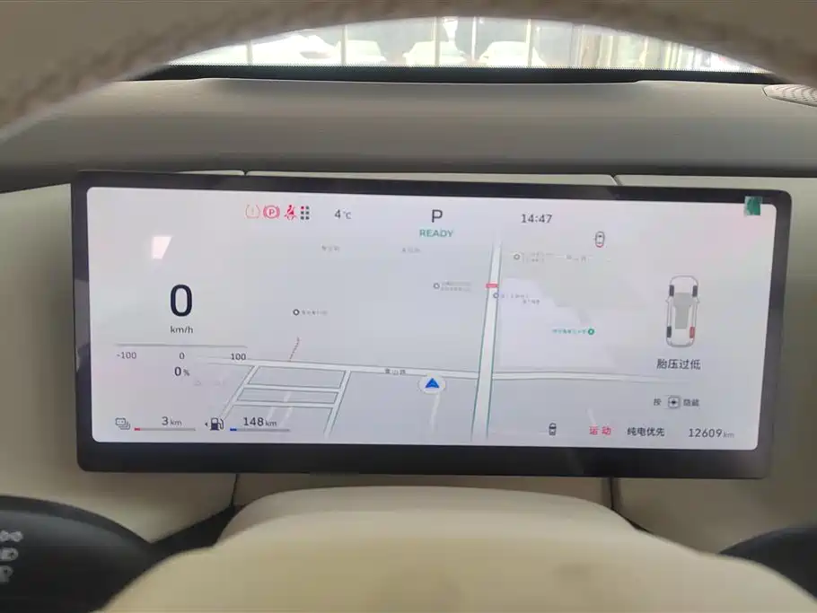 WEI PAI WEI BRAND BLUE MOUNTAIN