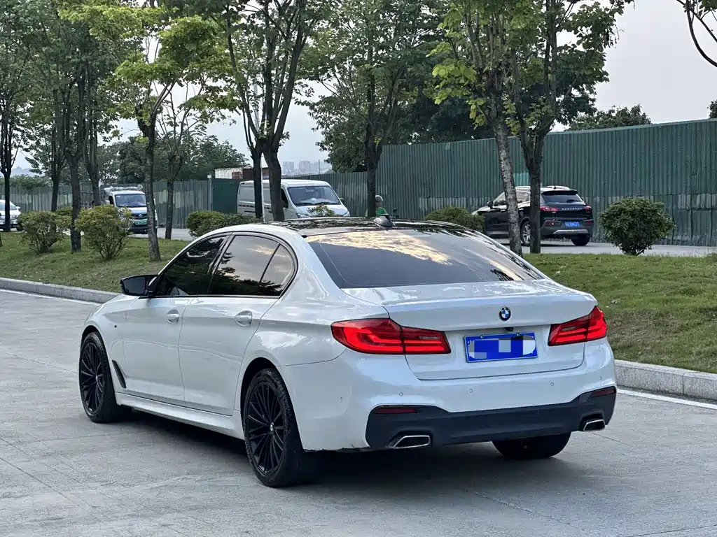 BMW 5 Series 5 2019 530Li Premium M Sport