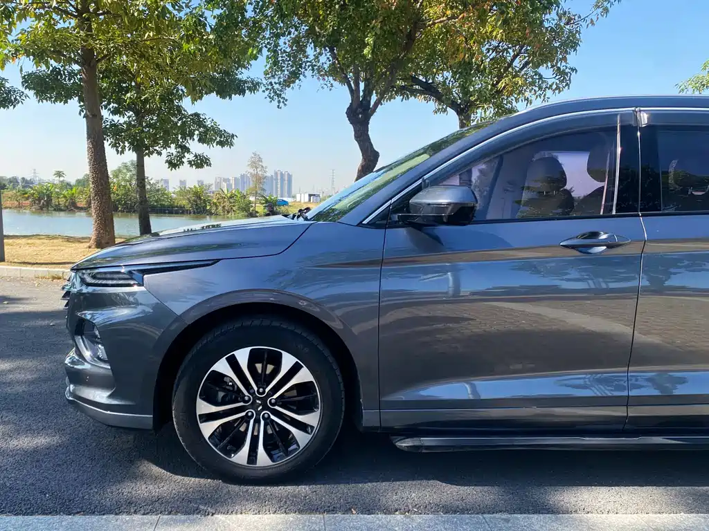 WULING WULING CAPGEMINI