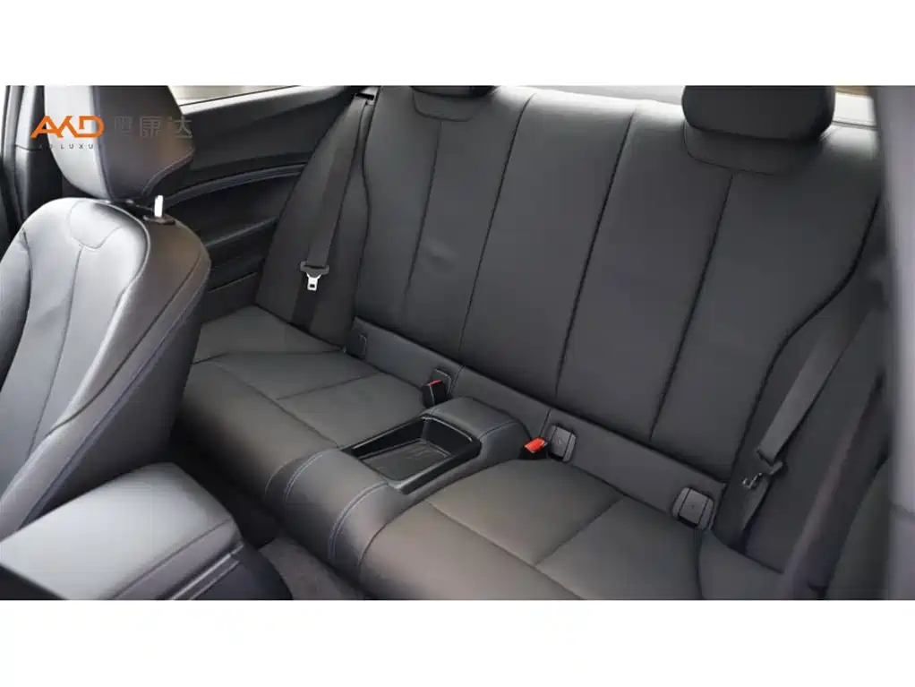 BMW 2 Series 2 2019 225i Premium M Sport