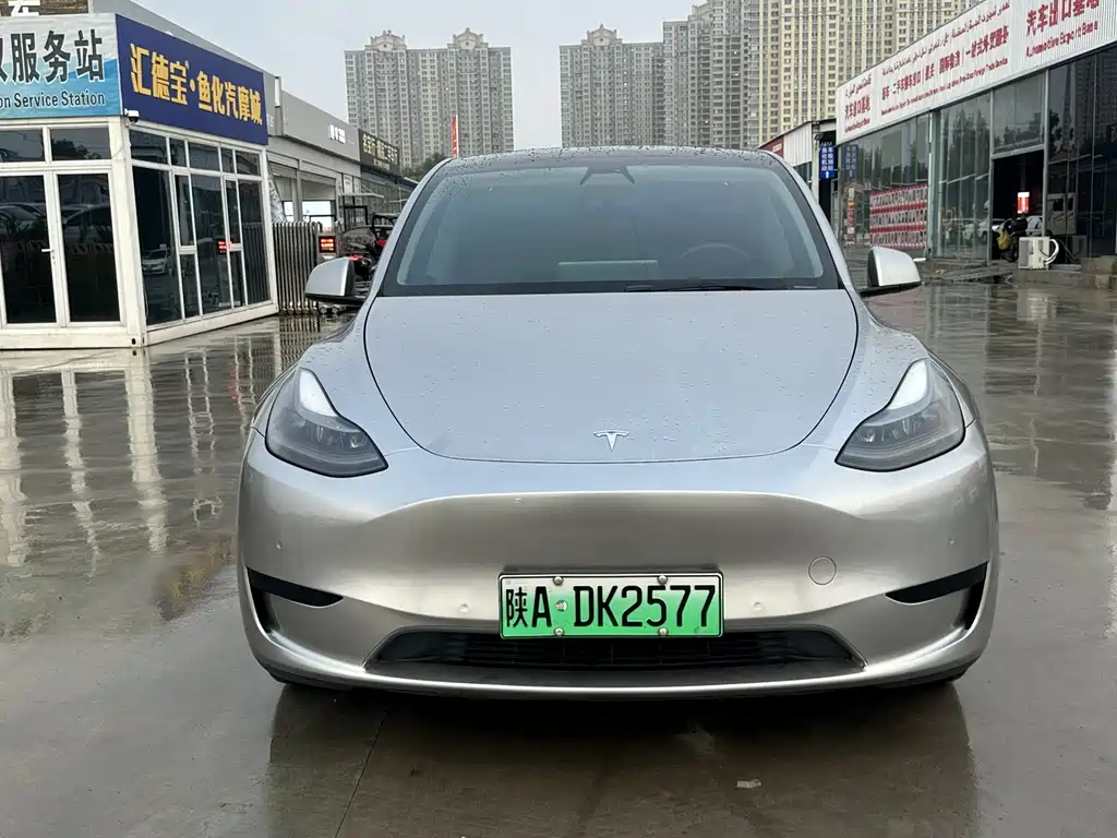 Tesla Model Y — миниатюра 2