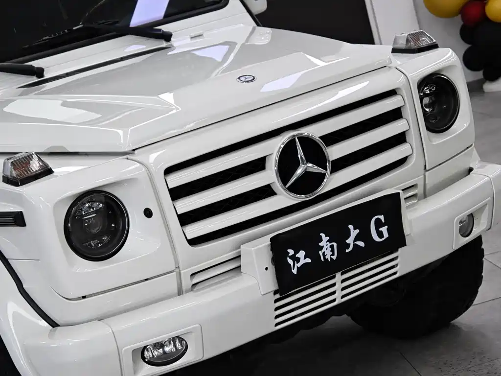 Mercedes-Benz G-Class G 2010 G 500