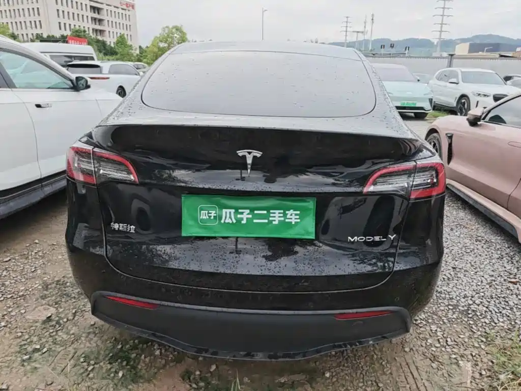 Tesla Model Y — миниатюра 6
