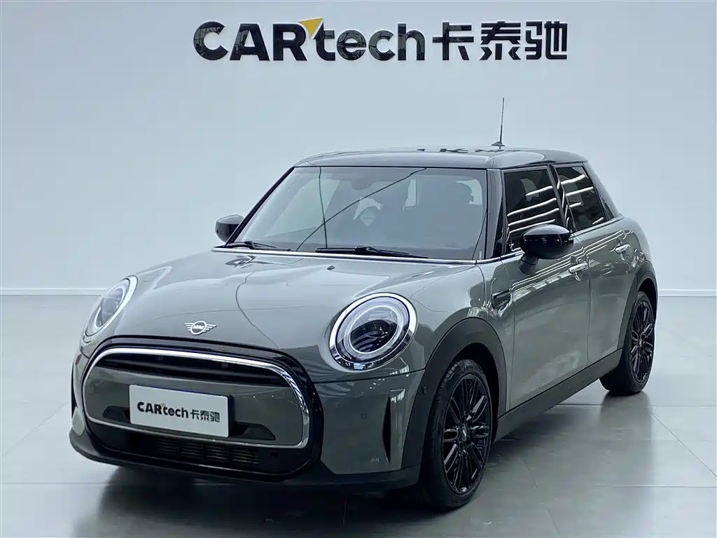 Mini Mini 2022