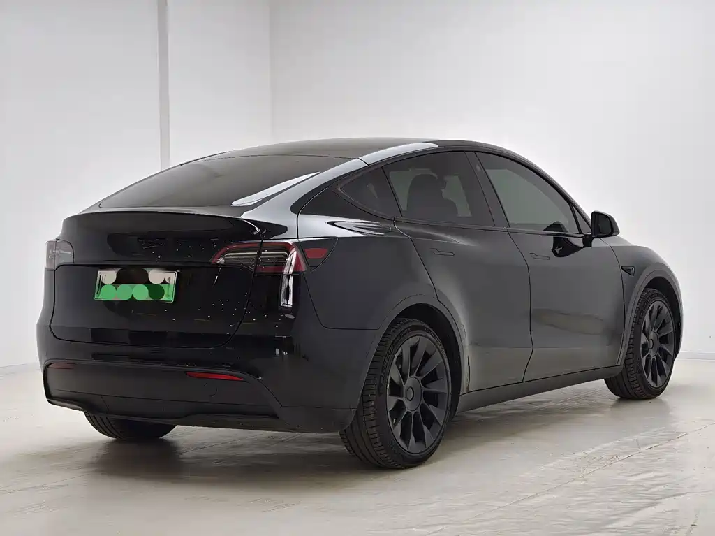 Tesla Model Y — миниатюра 7