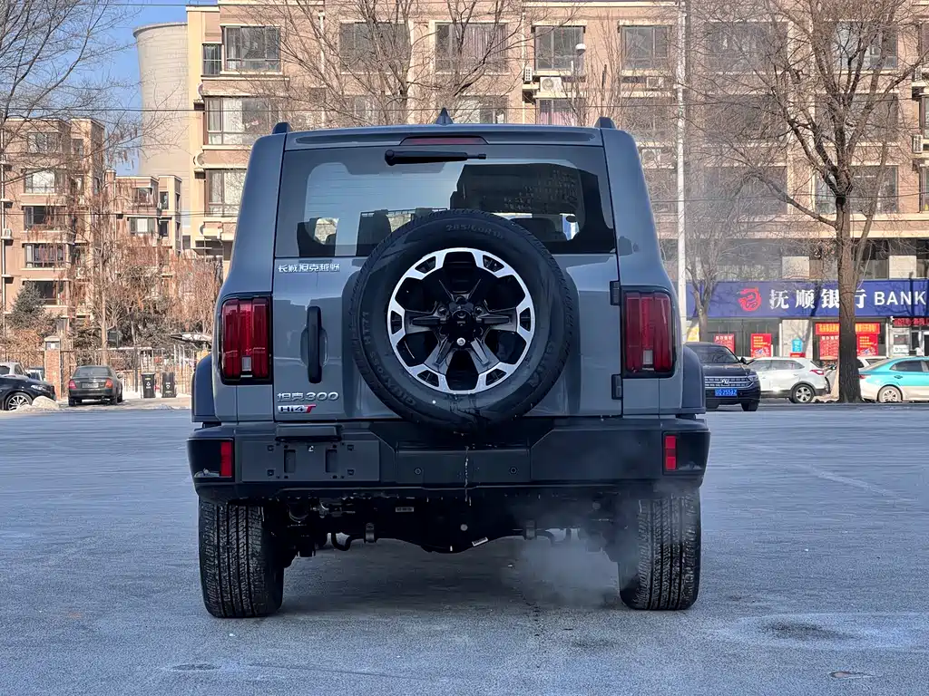 TANK TANK 300 NEW ENERGY