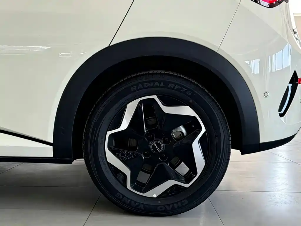 BYD Dolphin — миниатюра 14