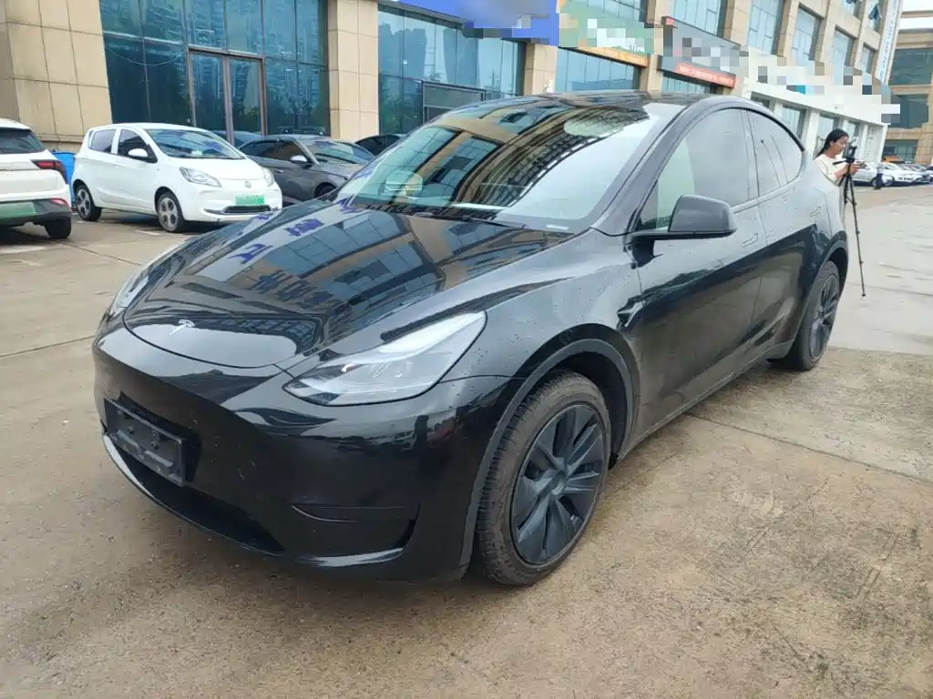 Tesla Model Y — миниатюра 2
