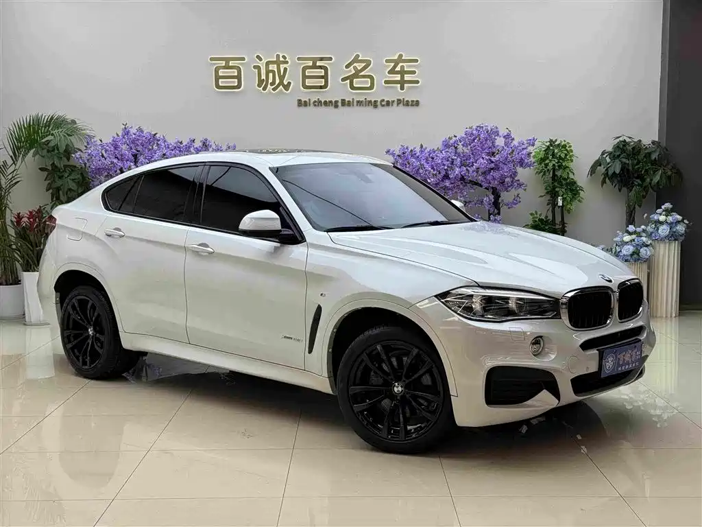 BMW X6 2019 xDrive35i M Sport