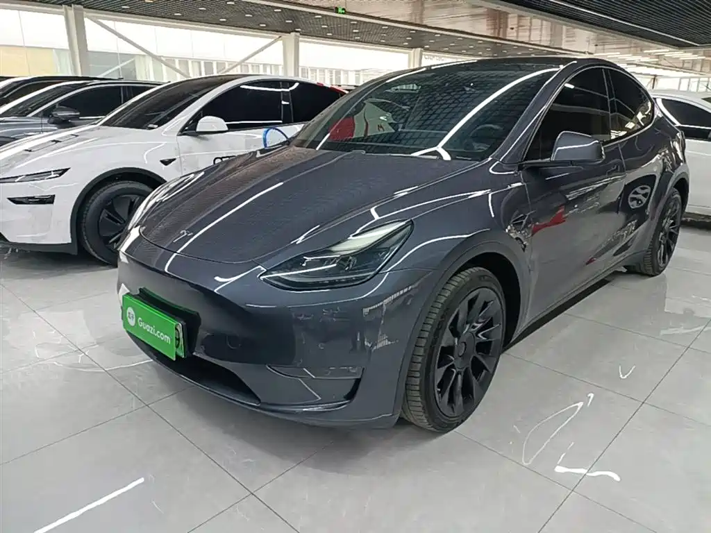 Tesla Model Y 2021 Long Range AWD Edition