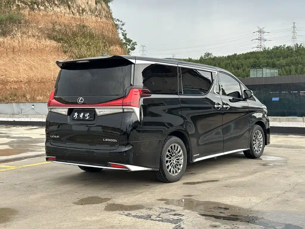 Lexus LM 2020 300h мест