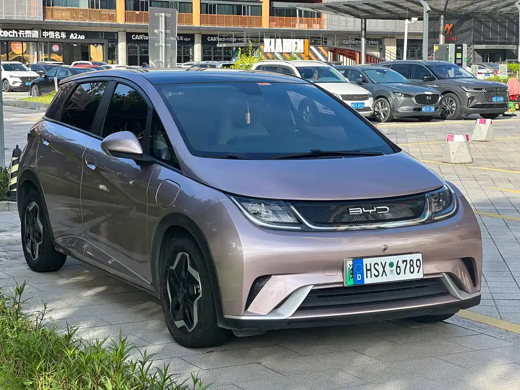 BYD Dolphin 2021 405km Fashion