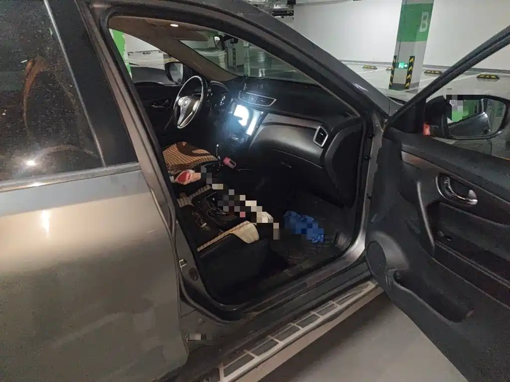 Nissan X-Trail — миниатюра 19