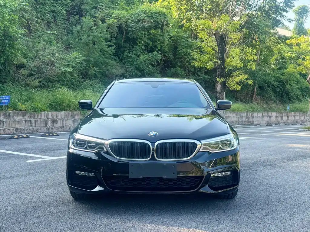 BMW 5 Series — миниатюра 5